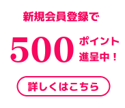 新規会員登録で500P進呈中！詳しくはこちら